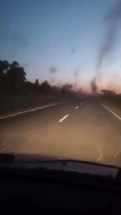 Mosquitoes invasion in Argentina right now
