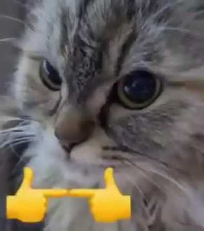 Me when  I see you