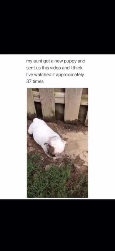 Not inside the house!!