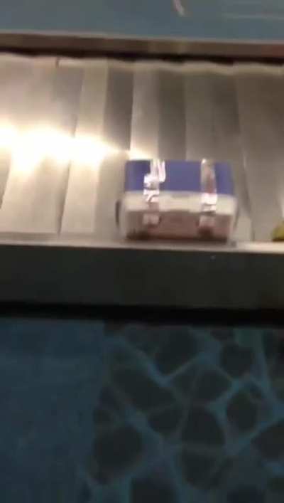 Woman’s luggage burst open with live crabs at London Heathrow airport