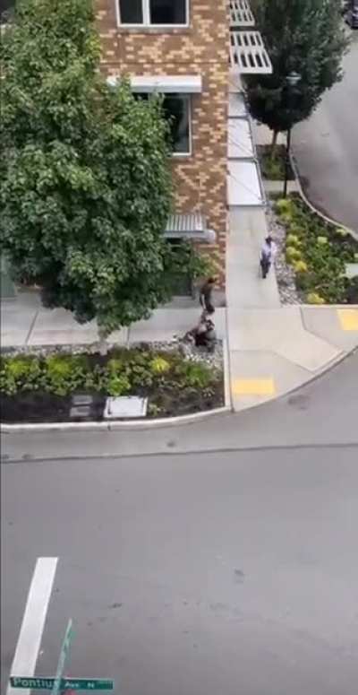 Lady Throws rock at elderly women, bystander helps out.