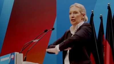 Weidel will alle Windräder niederreißen