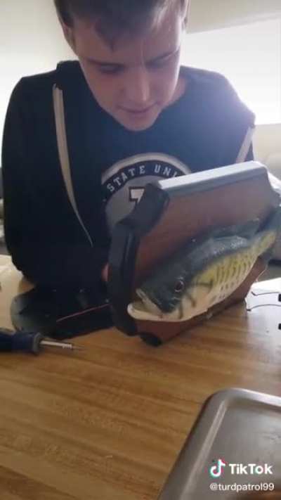 it’s ya fishboy