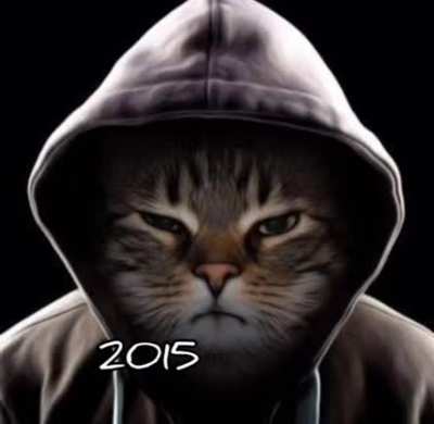 Cat raper