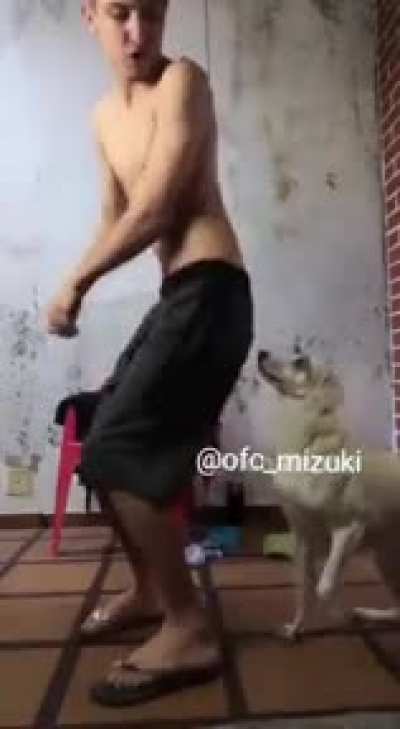 Cachorrão mil grau
