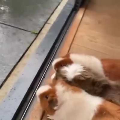 Rainy Day