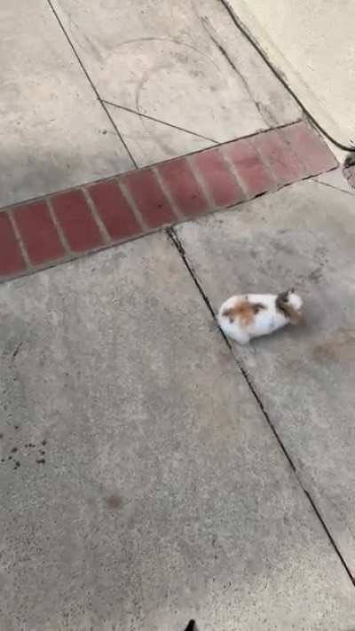 zuko's first time outside