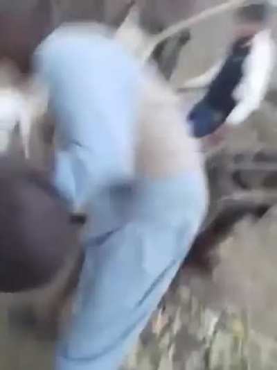 Trying to break a dog fight...