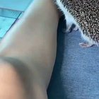 So cute