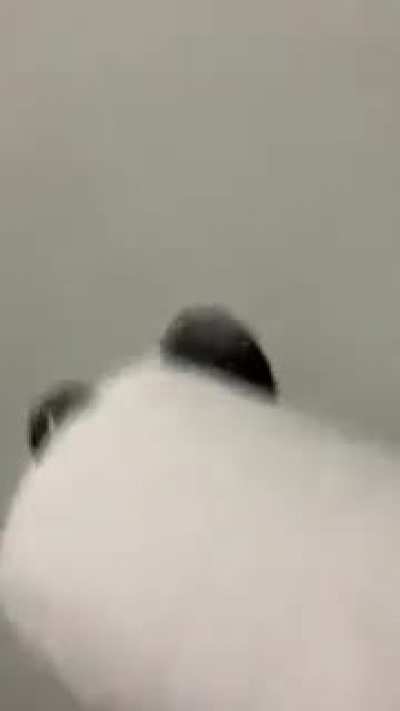 Flashbacks