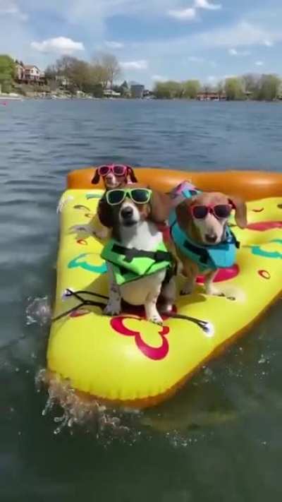 Who ordered pizza?