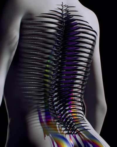 Procedural Exoskeleton