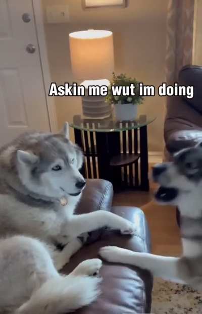Give him some privacy