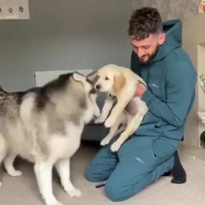 New friend
