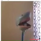 Hoo?