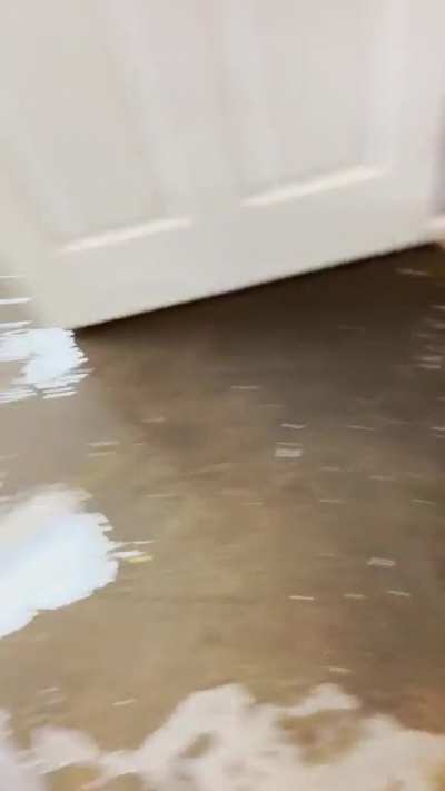 It’s just one of those vacuuming up sewage kinda days