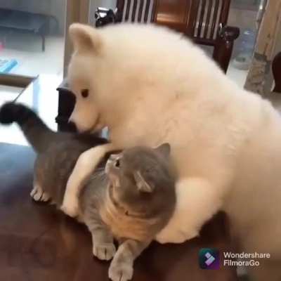 Let me love you!