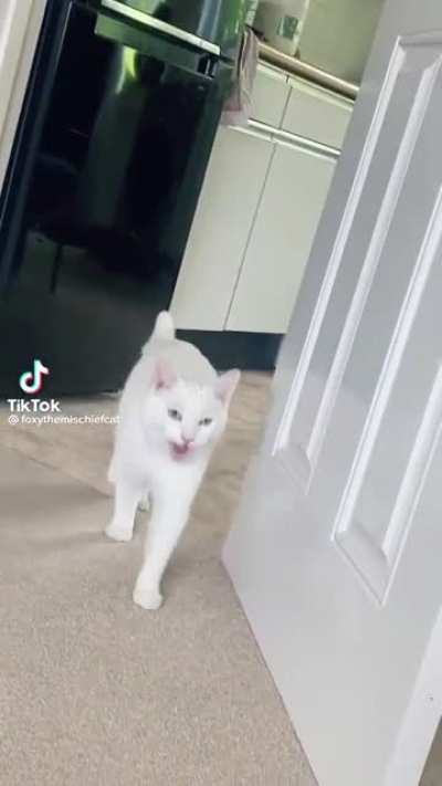 He likes to loudly announce his arrival