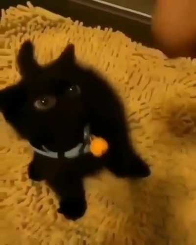 The original Nermal