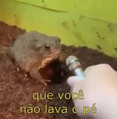 Falou tudo