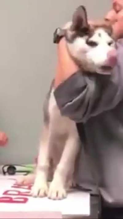 Ā