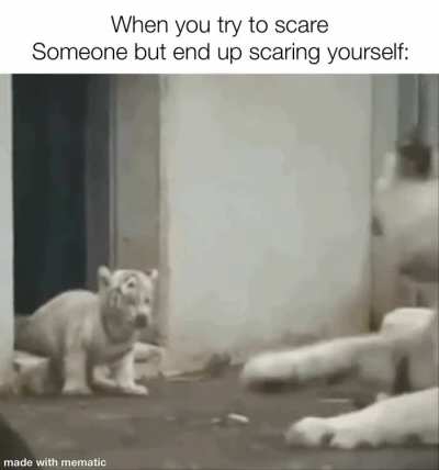 Didn't go as planned