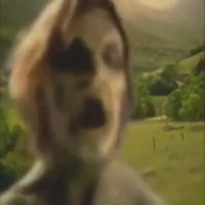 Ay