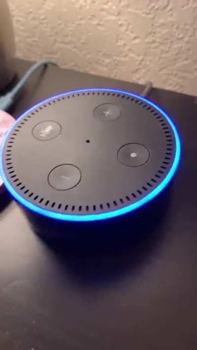pooptooth speaker