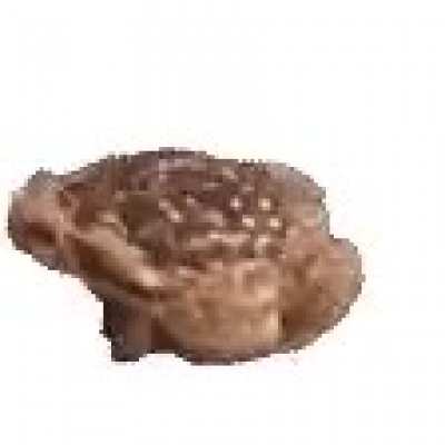 Frög