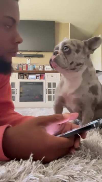 Patient dog needs attention
