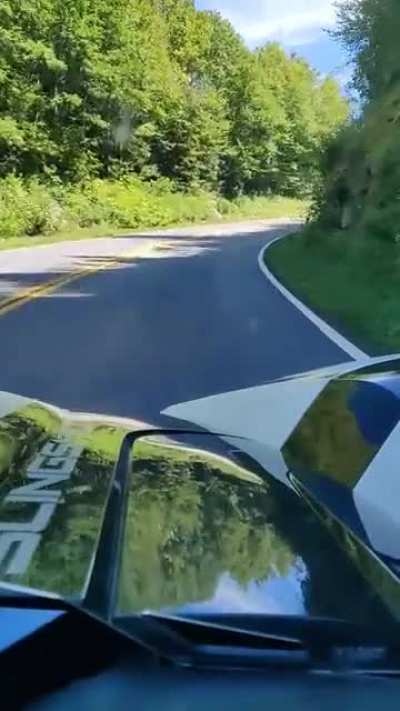 A nice little joyride through the mountain and a turkey decided to play chicken with us.