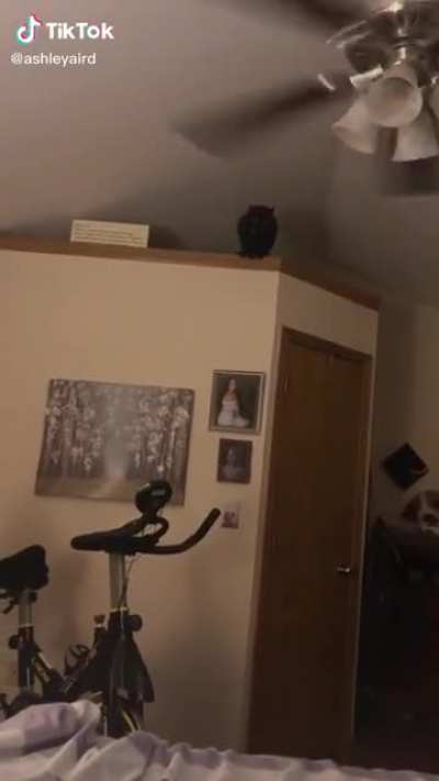 To stop the fan