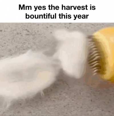This yield is absolutely flabbergasting