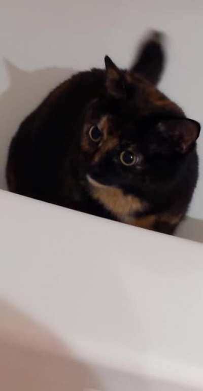 She spooked me :(