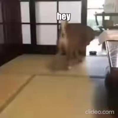 Where is it john???