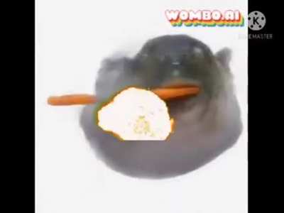 Pufferfish