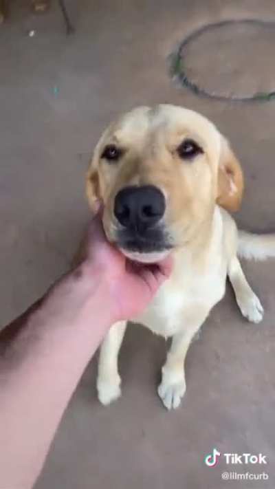 I love their faces