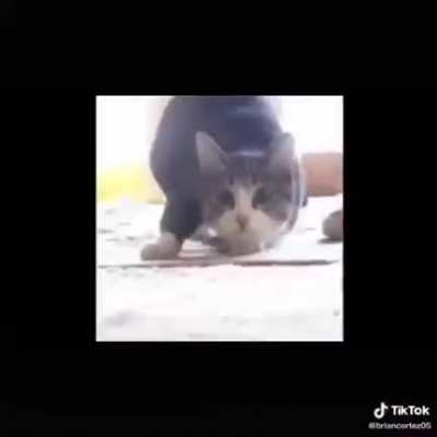 Me miró y la mire