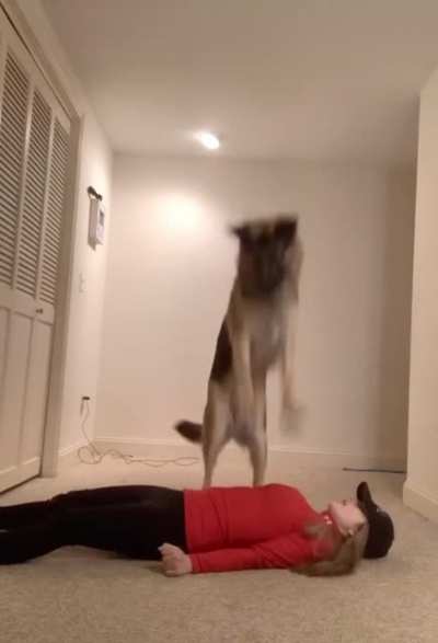 Service dog trained to do CPR