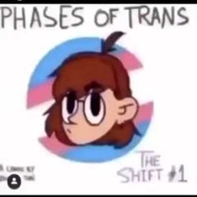 Phases of trans
