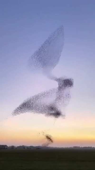 Living Art. So amazing