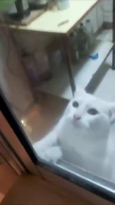 ðº