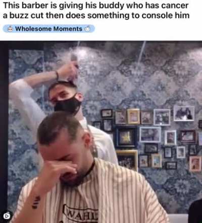 True friend