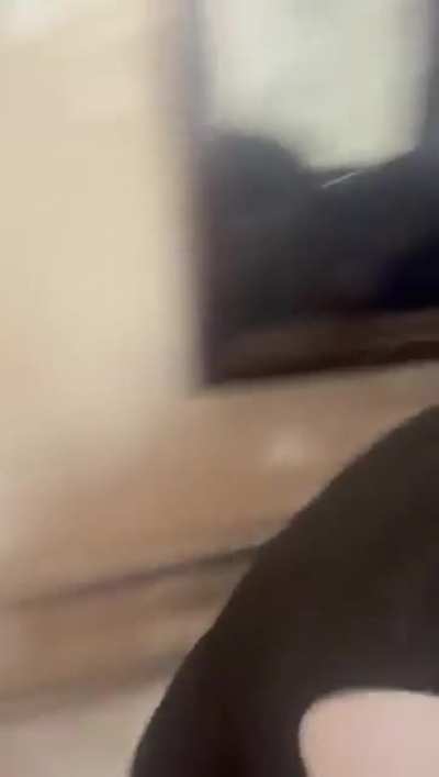 Indian Lawyers duking it out in Court premises
