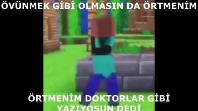 dur steve yapma