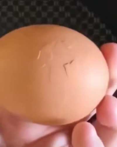 It’s hatching!