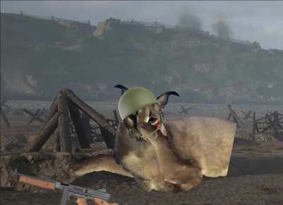:(