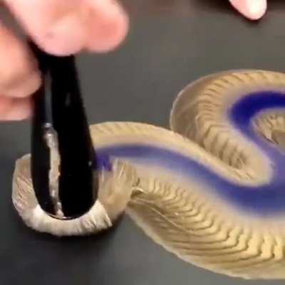 Drawing a dragon's body in one stroke