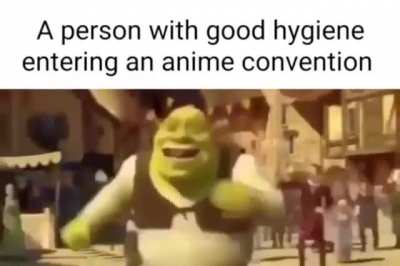 Anime Rule