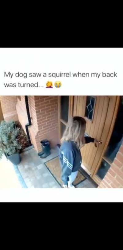 Taking the little pooch for a stroll